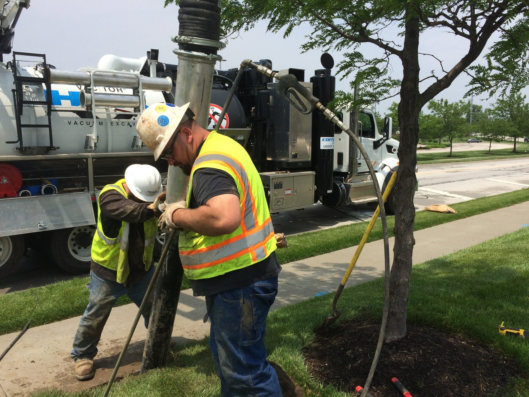 Two workers in hard hats and hi-vis vests guiding a hydrovac suction tube into the ground beside a sidewalk and young tree, with the vacuum excavation truck parked behind them