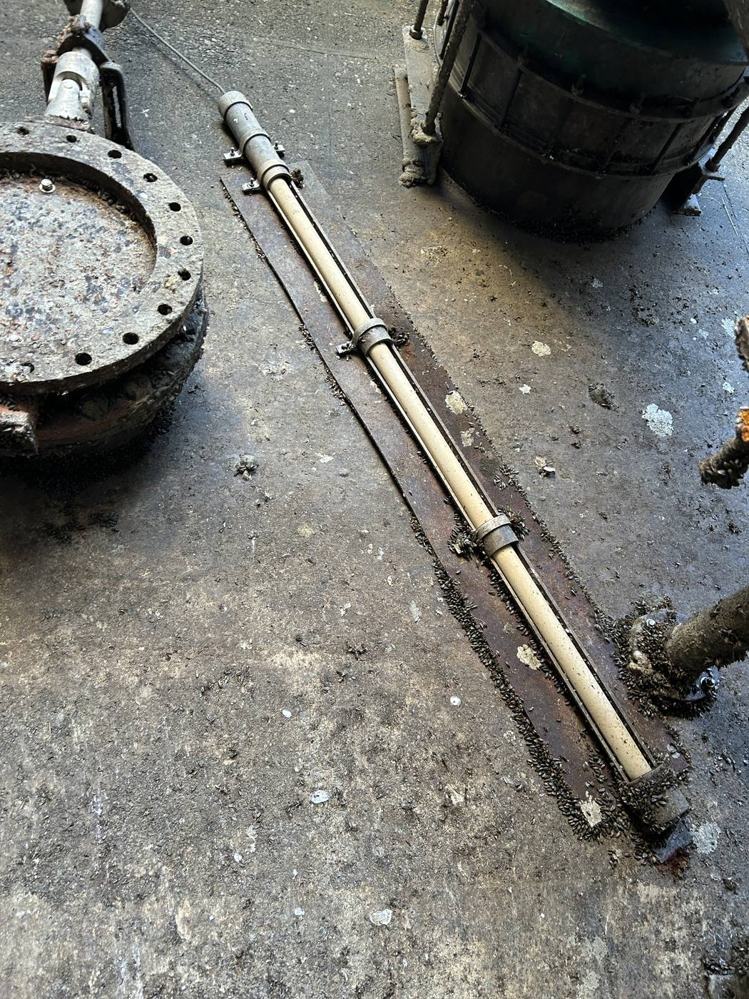 Field instrumentation on a concrete pad with biofouling on adjacent steel