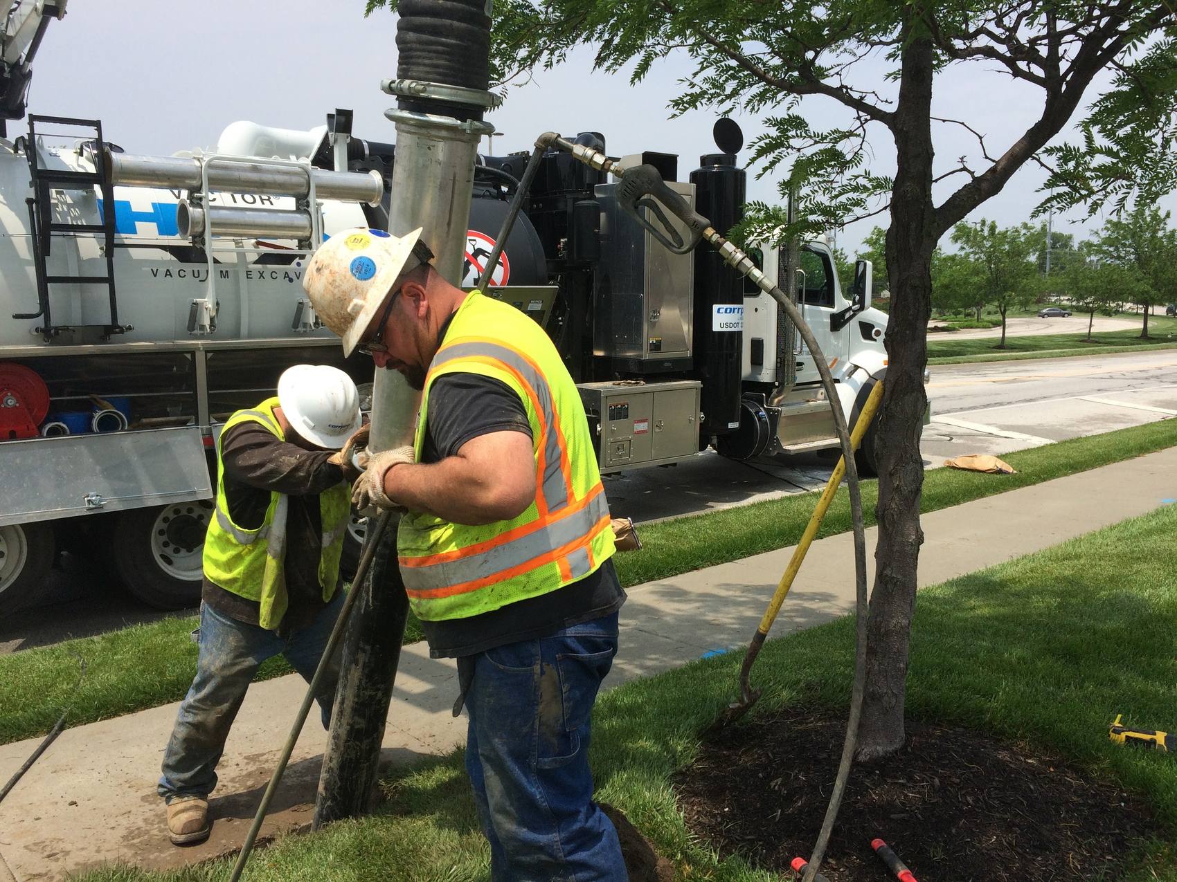 Two workers with a vacuum pipe by a tree.